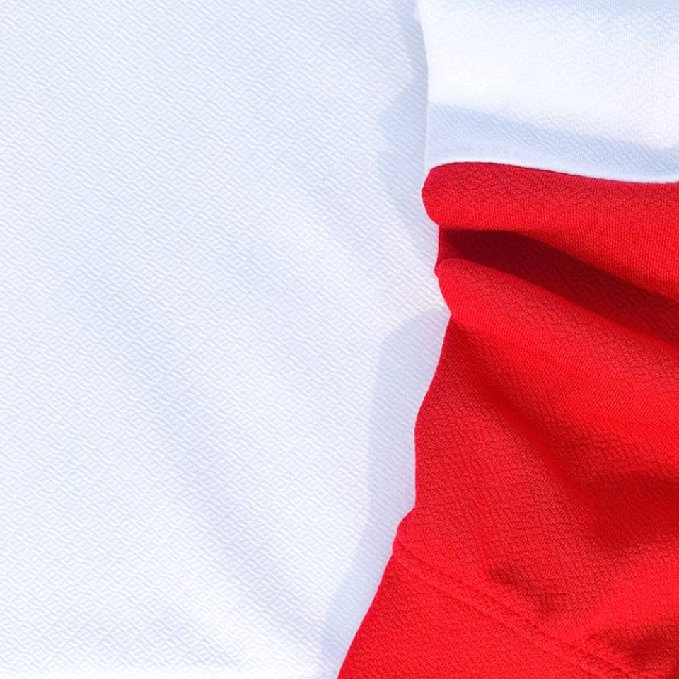 Full sleeve Collar Lycra T Shirt Red with White